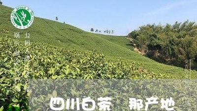 四川白茶岀那产地/2023061607472