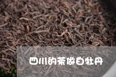 四川的茶做白牡丹/2023090517493