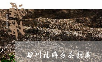 四川福鼎白茶招商/2023061649472