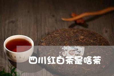 四川红白茶是啥茶/2023061660683