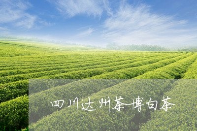 四川达州茶博白茶/2023061600595