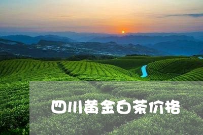 四川黄金白茶价格/2023061687148