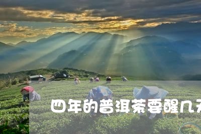 四年的普洱茶要醒几天/2023092665240