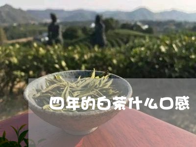 四年的白茶什么口感/2023071602836