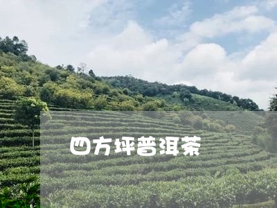 四方坪普洱茶/2023081529694