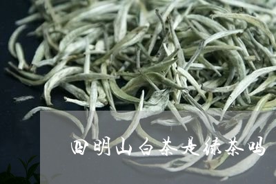 四明山白茶是绿茶吗/2023121831492