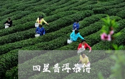 四星普洱茶饼/2023090602836