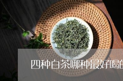 四种白茶哪种最好喝的/2023092899480