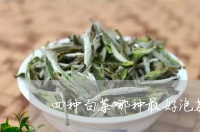 四种白茶哪种最好泡茶的/2023101608260