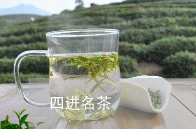 四进名茶/2023090108393