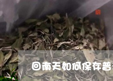 回南天如何保存普洱茶/2023073172847