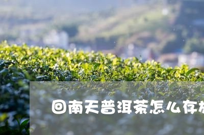 回南天普洱茶怎么存放/2023080205937