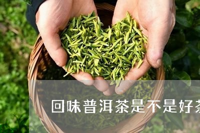 回味普洱茶是不是好茶/2023073137359