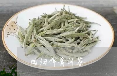 回归牌普洱茶/2023042746078