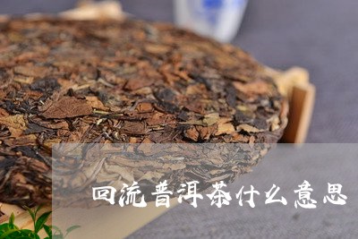 回流普洱茶什么意思/2023112778203