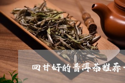 回甘好的普洱茶推荐一下/2023101784826