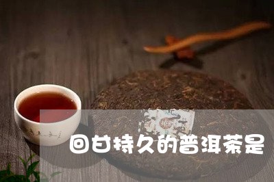 回甘持久的普洱茶是/2023081617272