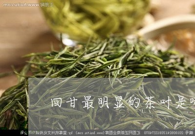 回甘最明显的茶叶是哪种/2023050662615