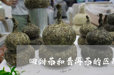 回甜茶和普洱茶的区别/2023080101847