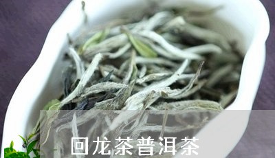 回龙茶普洱茶/2023042860091