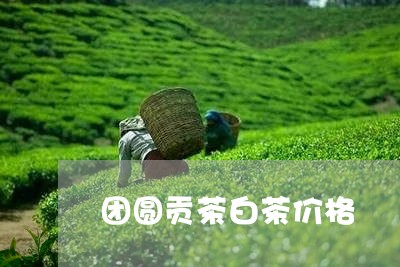 团圆贡茶白茶价格/2023061648582