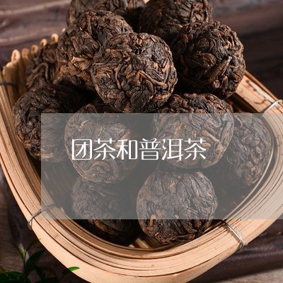 团茶和普洱茶/2023042770101