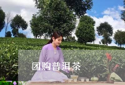 团购普洱茶/2023090644948