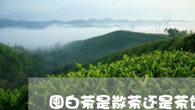 囤白茶是散茶还是茶饼好/2023101673857