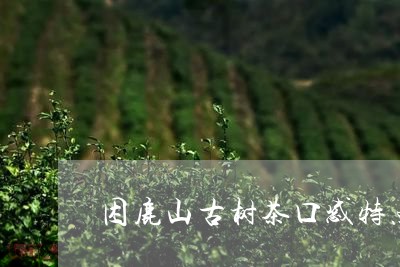 困鹿山古树茶口感特点/2023092159692