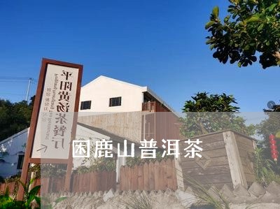 困鹿山普洱茶/2023042917326