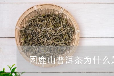 困鹿山普洱茶为什么是贡茶/2023082943938