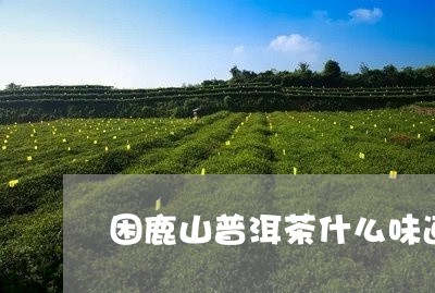 困鹿山普洱茶什么味道/2023101722627