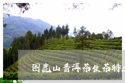 困鹿山普洱茶生茶特点/2023062294040