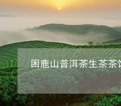 困鹿山普洱茶生茶茶饼/2023072459380