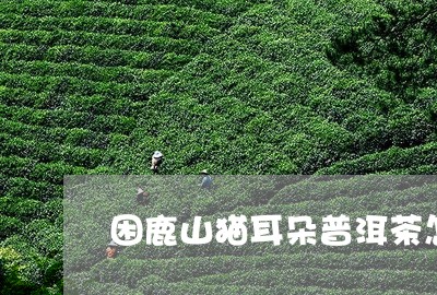 困鹿山猫耳朵普洱茶怎么样/2023082924818