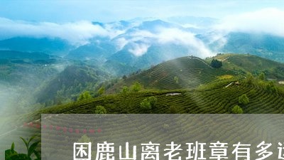 困鹿山离老班章有多远/2023092474151