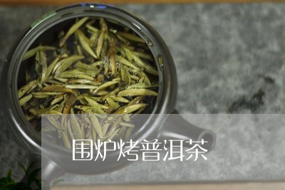 围炉烤普洱茶/2023121549595