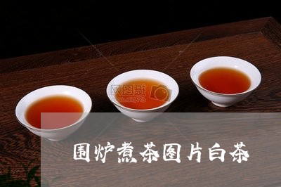 围炉煮茶图片白茶/2023061697606