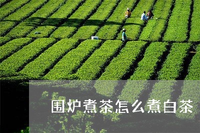 围炉煮茶怎么煮白茶/2023081327159