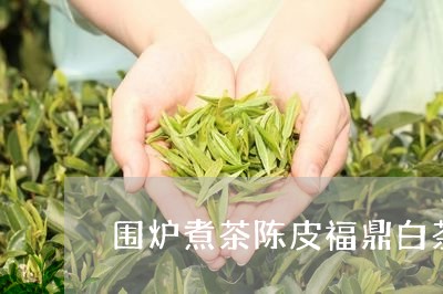 围炉煮茶陈皮福鼎白茶/2023111533936