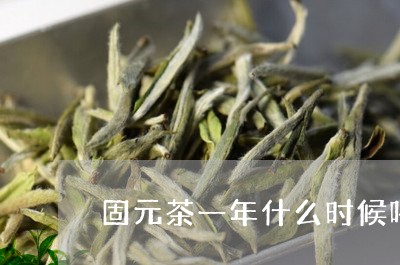 固元茶一年什么时候喝/2023071621503