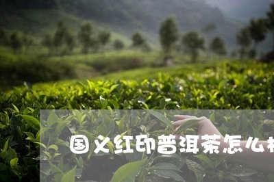 国义红印普洱茶怎么样/2023092649692