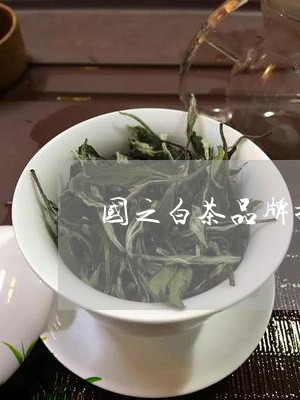 国之白茶品牌排行榜/2023121873747