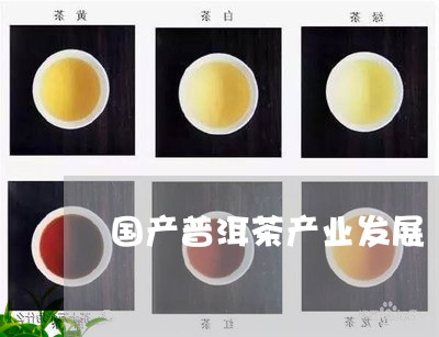 国产普洱茶产业发展/2023091460583