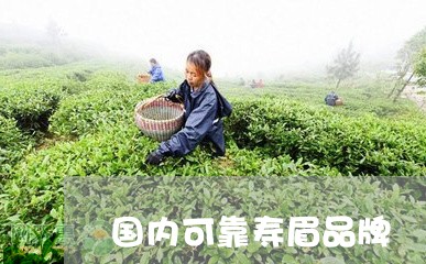 国内可靠寿眉品牌/2023061603838