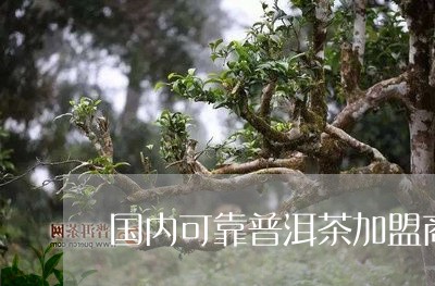 国内可靠普洱茶加盟商/2023061431472