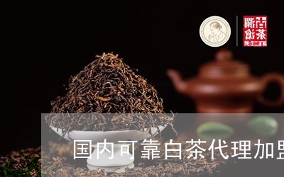 国内可靠白茶代理加盟商/2023101688204