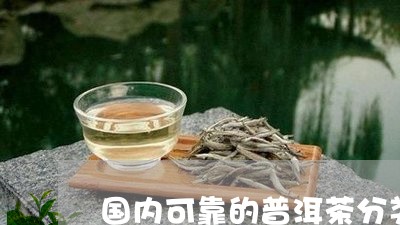 国内可靠的普洱茶分类/2023080173593