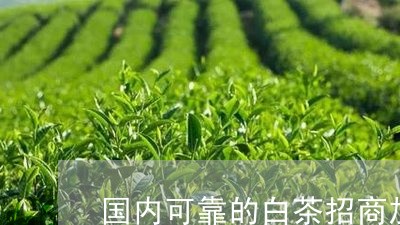 国内可靠的白茶招商加盟/2023101601595