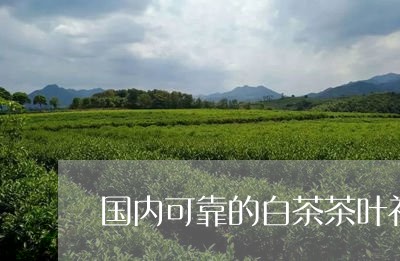 国内可靠的白茶茶叶礼盒/2023101631725